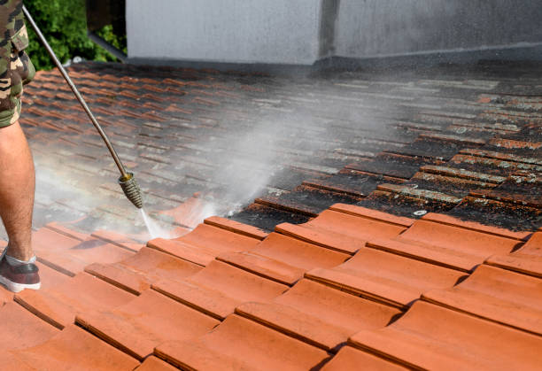 Best Fence Pressure Washing  in Madison, FL