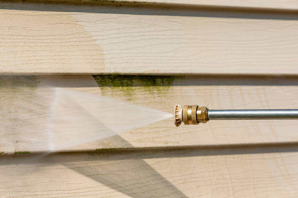 Best Residential Pressure Washing Services  in Madison, FL