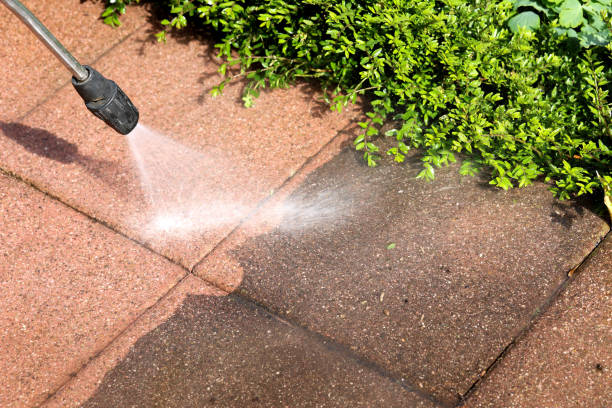 Best Pressure Washing Company Near Me  in Madison, FL